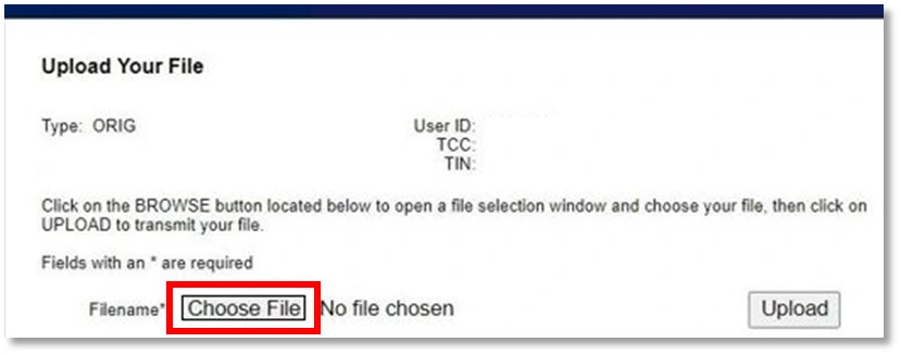 Choose File
